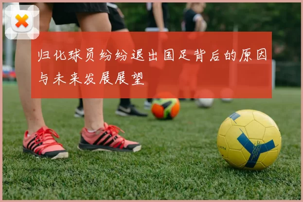 归化球员纷纷退出国足背后的原因与未来发展展望