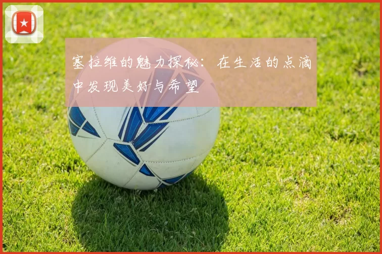 塞拉维的魅力探秘：在生活的点滴中发现美好与希望