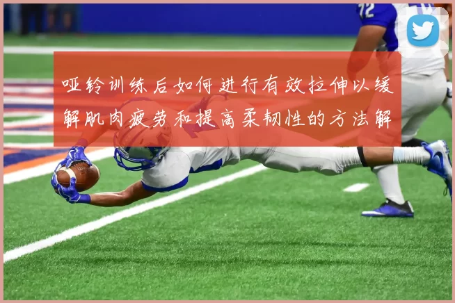 哑铃训练后如何进行有效拉伸以缓解肌肉疲劳和提高柔韧性的方法解析